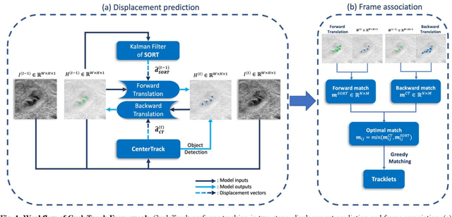 Figure 1 for Automated Blood Cell Counting from Non-invasive Capillaroscopy Videos with Bidirectional Temporal Deep Learning Tracking Algorithm