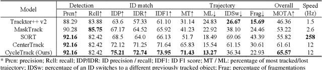 Figure 2 for A Deep Learning Bidirectional Temporal Tracking Algorithm for Automated Blood Cell Counting from Non-invasive Capillaroscopy Videos