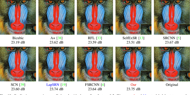 Figure 2 for Content-adaptive Representation Learning for Fast Image Super-resolution