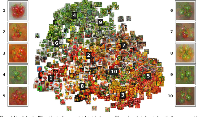 Figure 4 for Multifaceted Feature Visualization: Uncovering the Different Types of Features Learned By Each Neuron in Deep Neural Networks