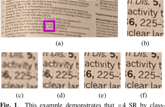 Figure 1 for MMSR: Multiple-Model Learned Image Super-Resolution Benefiting From Class-Specific Image Priors