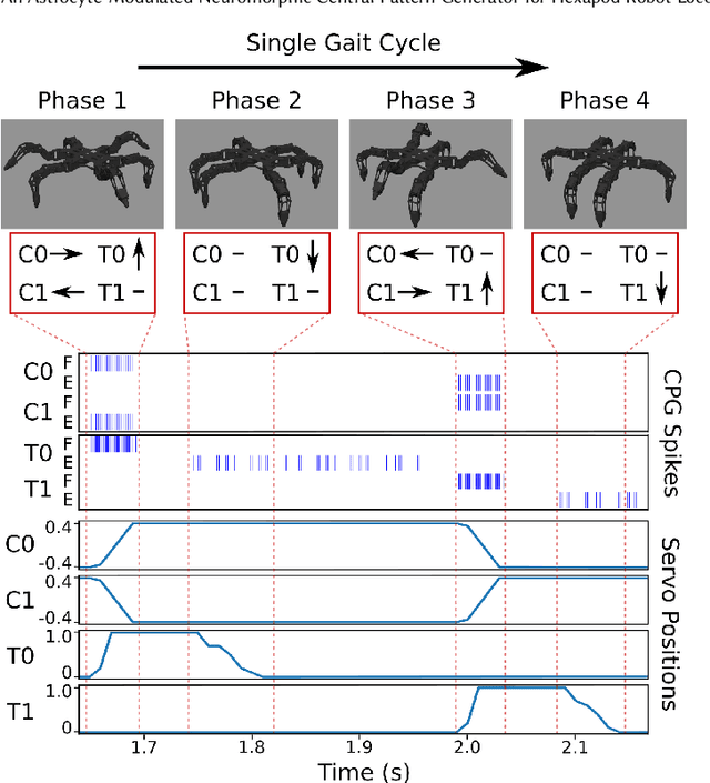 Figure 4 for An Astrocyte-Modulated Neuromorphic Central Pattern Generator for Hexapod Robot Locomotion on Intel's Loihi