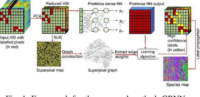Figure 1 for Tree species classification from hyperspectral data using graph-regularized neural networks