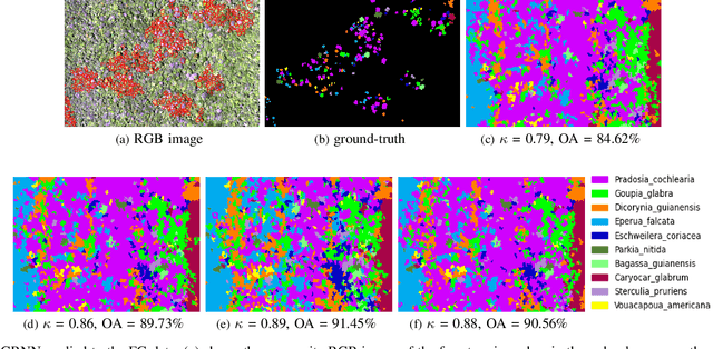 Figure 4 for Tree species classification from hyperspectral data using graph-regularized neural networks