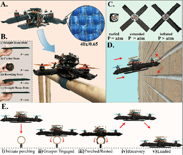 Figure 1 for A Soft-Bodied Aerial Robot for Collision Resilience and Contact-Reactive Perching