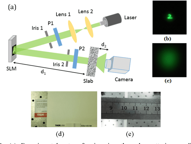 Figure 1 for Exploit imaging through opaque wall via deep learning