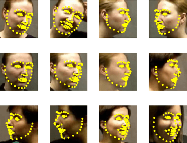 Figure 3 for Evaluation of Dense 3D Reconstruction from 2D Face Images in the Wild