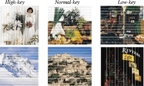 Figure 1 for Image Classification and Optimized Image Reproduction