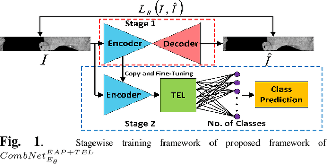 Figure 1 for Unsupervised Pre-trained, Texture Aware And Lightweight Model for Deep Learning-Based Iris Recognition Under Limited Annotated Data
