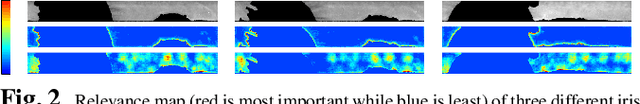 Figure 3 for Unsupervised Pre-trained, Texture Aware And Lightweight Model for Deep Learning-Based Iris Recognition Under Limited Annotated Data