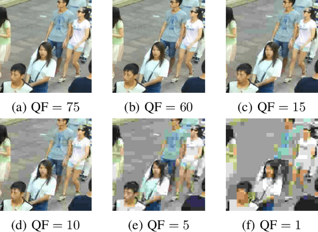 Figure 2 for Crowd Counting on Heavily Compressed Images with Curriculum Pre-Training