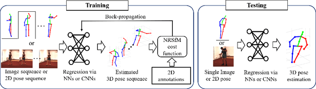 Figure 1 for Procrustean Regression Networks: Learning 3D Structure of Non-Rigid Objects from 2D Annotations