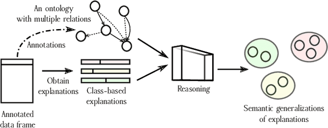 Figure 1 for Semantic Reasoning from Model-Agnostic Explanations