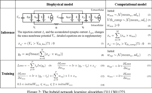 Figure 3 for Inference with Hybrid Bio-hardware Neural Networks