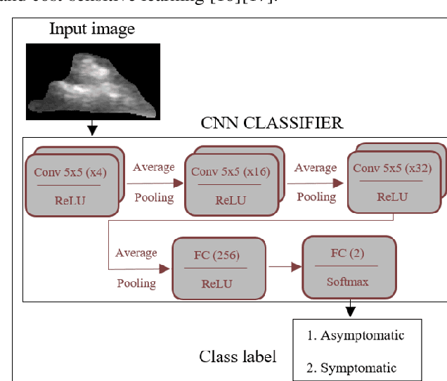 Figure 1 for Stratification of carotid atheromatous plaque using interpretable deep learning methods on B-mode ultrasound images