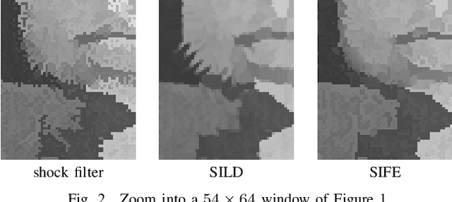 Figure 2 for Stabilised Inverse Flowline Evolution for Anisotropic Image Sharpening