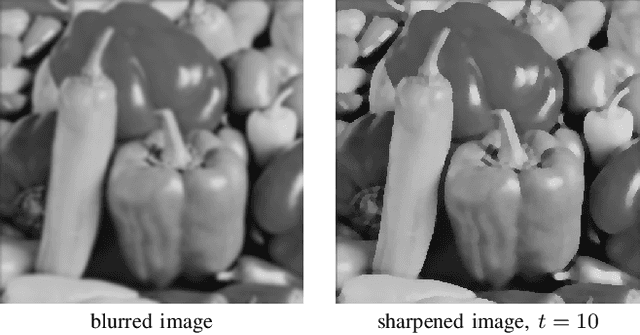 Figure 3 for Stabilised Inverse Flowline Evolution for Anisotropic Image Sharpening