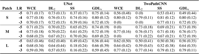 Figure 3 for Generalised Dice overlap as a deep learning loss function for highly unbalanced segmentations