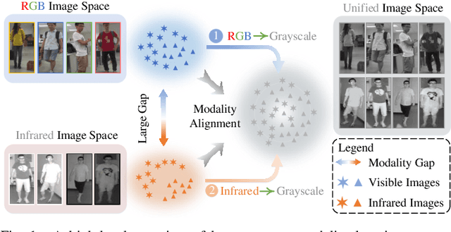 Figure 1 for Towards Homogeneous Modality Learning and Multi-Granularity Information Exploration for Visible-Infrared Person Re-Identification