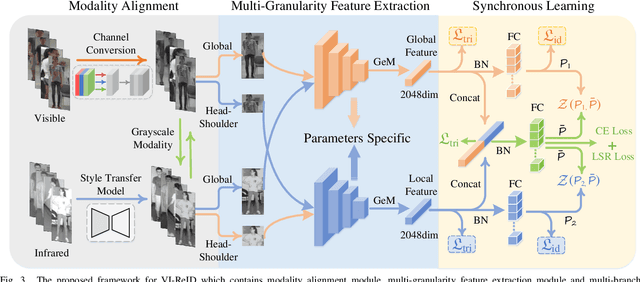 Figure 3 for Towards Homogeneous Modality Learning and Multi-Granularity Information Exploration for Visible-Infrared Person Re-Identification