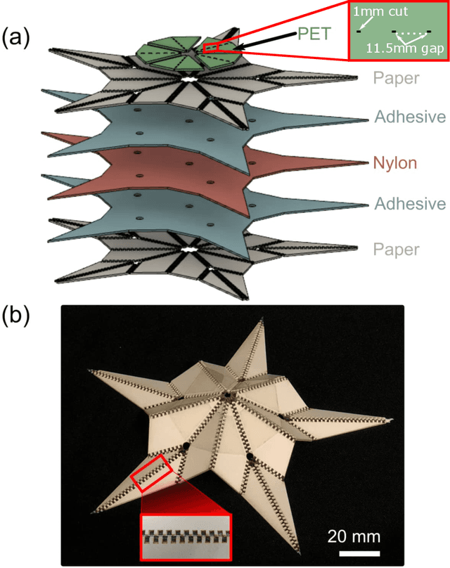 Figure 3 for Leaf-like Origami with Bistability for Self-Adaptive Grasping Motions