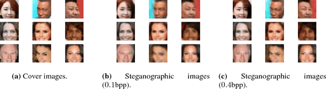 Figure 3 for Generating Steganographic Images via Adversarial Training