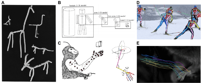 Figure 1 for Measuring and modeling the motor system with machine learning