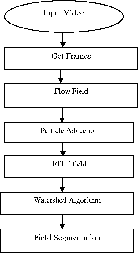 Figure 3 for Flow Segmentation in Dense Crowds