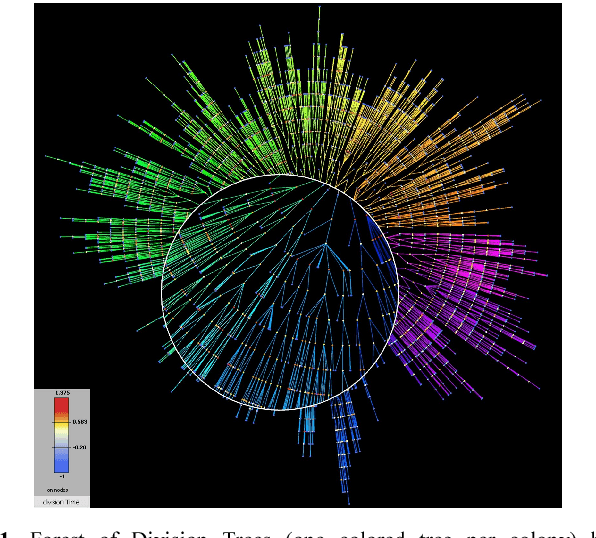 Figure 1 for Reconstructing the Forest of Lineage Trees of Diverse Bacterial Communities Using Bio-inspired Image Analysis