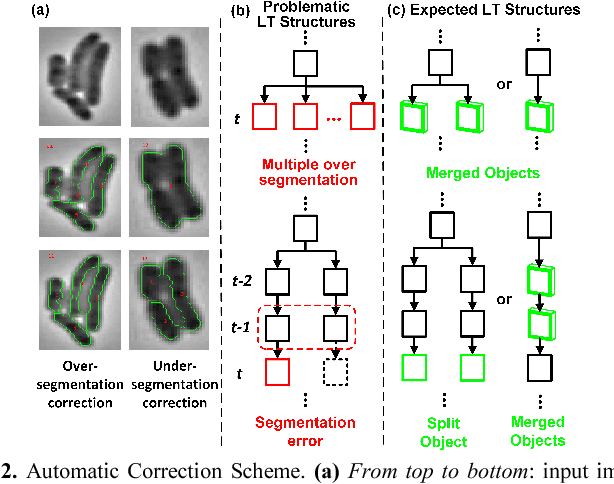 Figure 2 for Reconstructing the Forest of Lineage Trees of Diverse Bacterial Communities Using Bio-inspired Image Analysis