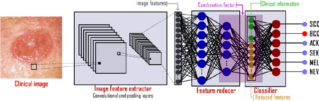 Figure 3 for The impact of patient clinical information on automated skin cancer detection