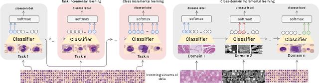 Figure 2 for LifeLonger: A Benchmark for Continual Disease Classification