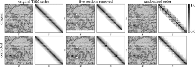 Figure 3 for Post-acquisition image based compensation for thickness variation in microscopy section series