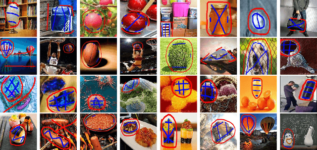 Figure 3 for Multiple Convex Objects Image Segmentation via Proximal Alternating Direction Method of Multipliers