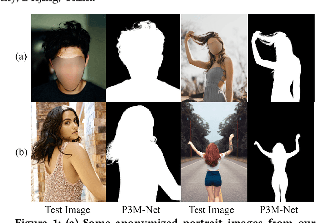 Figure 1 for Privacy-Preserving Portrait Matting