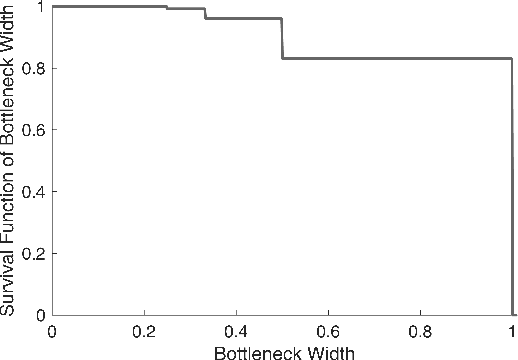 Figure 4 for Short and Wide Network Paths