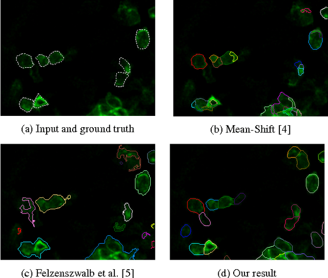 Figure 1 for Cell segmentation with random ferns and graph-cuts