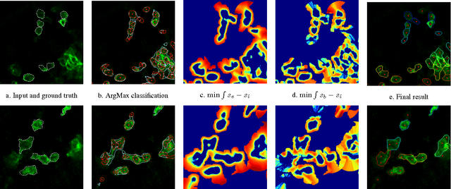 Figure 2 for Cell segmentation with random ferns and graph-cuts