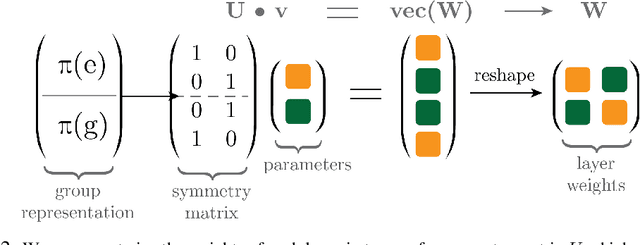 Figure 3 for Meta-Learning Symmetries by Reparameterization