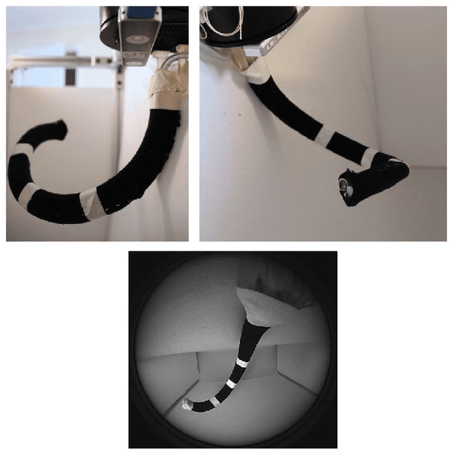 Figure 1 for Vision-Based Shape Reconstruction of Soft Continuum Arms Using a Geometric Strain Parametrization