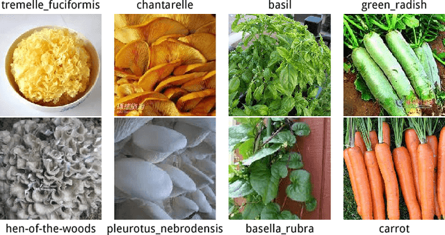 Figure 3 for Learning Illuminant Estimation from Object Recognition