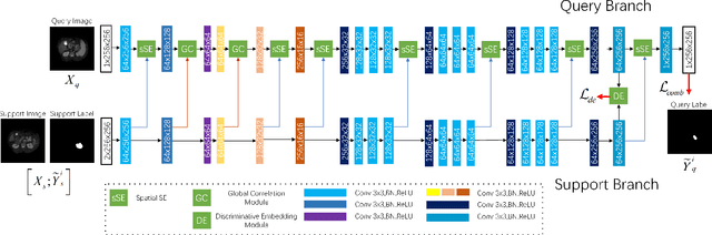 Figure 2 for Few-shot Medical Image Segmentation using a Global Correlation Network with Discriminative Embedding