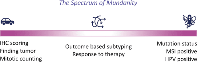 Figure 2 for Towards Launching AI Algorithms for Cellular Pathology into Clinical & Pharmaceutical Orbits