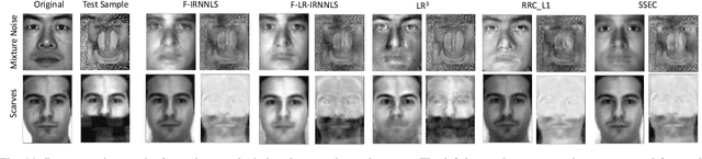 Figure 3 for Robust and Low-Rank Representation for Fast Face Identification with Occlusions