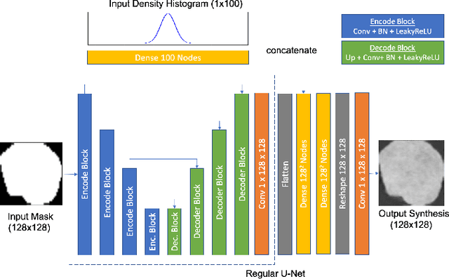 Figure 1 for Decoupling Shape and Density for Liver Lesion Synthesis Using Conditional Generative Adversarial Networks