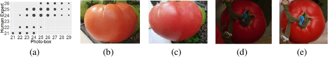 Figure 1 for Transfer Learning of Photometric Phenotypes in Agriculture Using Metadata