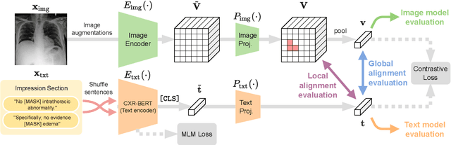 Figure 1 for Making the Most of Text Semantics to Improve Biomedical Vision--Language Processing