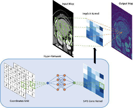 Figure 1 for Hyper-Convolutions via Implicit Kernels for Medical Imaging