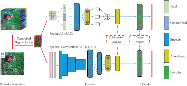 Figure 1 for SSCU-Net: Spatial-Spectral Collaborative Unmixing Network for Hyperspectral Images