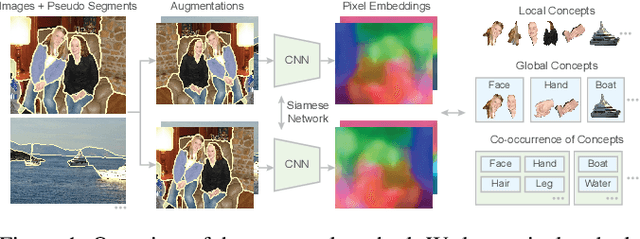 Figure 1 for Self-supervised Semantic Segmentation Grounded in Visual Concepts